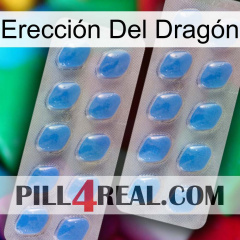 Erección Del Dragón 23